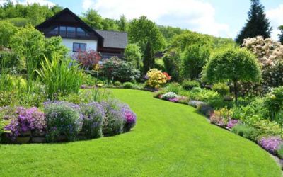 Finding the Right Landscaping Company For Your Yard