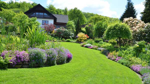 well maintained curving landscape of grass and flower beds with a house in the background.
