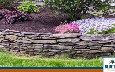 Unearth Your Backyard’s Potential: The Ultimate Stone Selection Guide