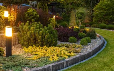 Lighting the Way: Essential Tips for Landscape Lighting Design