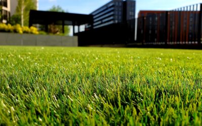 Design Dreams: A Beginner’s Guide to Landscape Layout