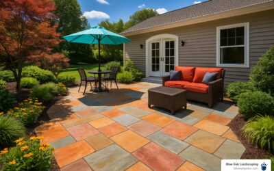 Choosing the Best Indian Sandstone Packs: Expert Recommendations